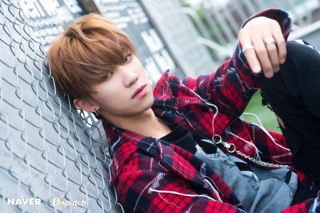 SEVENTEEN (세븐틴)/THE8(ディエイト) 画像6 : ぴよぴよにっき