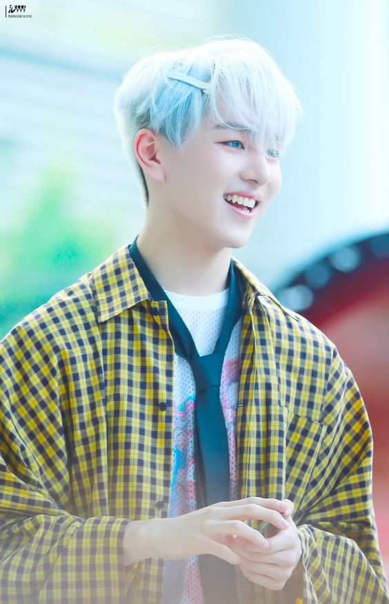 PENTAGON キノ Kino 画像3 : ぴよぴよにっき