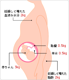 妊婦の体重 どのくらいが適正範囲か ぴよぴよくらし