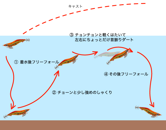 行ってきましたアオリイカ 中秋の淡路島に挑む Super Bora Powers