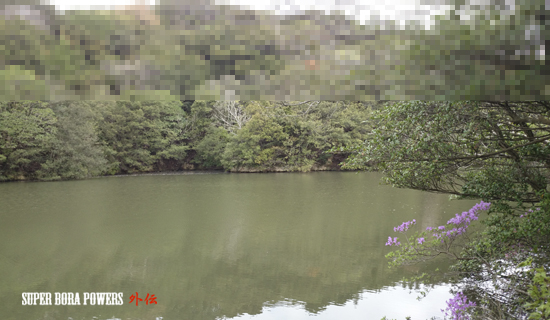 ブラックバス天国淡路島 野池でＧＯ！ : SUPER BORA POWERS