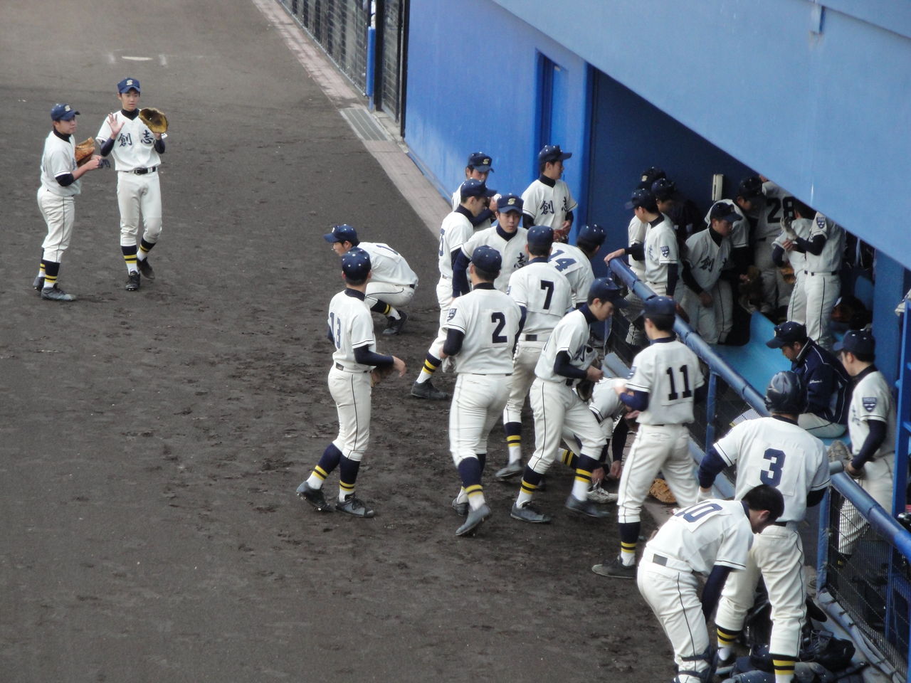 くまのベースボールフェスタ 2010 高校野球情報ちゃんねる くまのベースボールフェスタ 2010 高校野球情報ちゃんねる