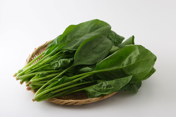 ワイ「ほうれん草美味いよな、毎日食ってる」お前ら「石」「シュウ酸がね……」「結石待ったなし」「石」「石できるぞ」