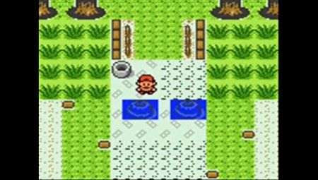 ポケモン金銀の没データ紹介 ダイブン起稿 ポケモン金銀の没データ紹介 ダイブン起稿