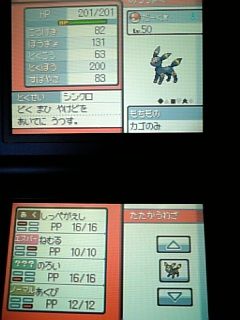 ひさびさに育てたポケモンを紹介します ポケモンろーど2nd ひさびさに育てたポケモンを紹介します ポケモンろーど2nd