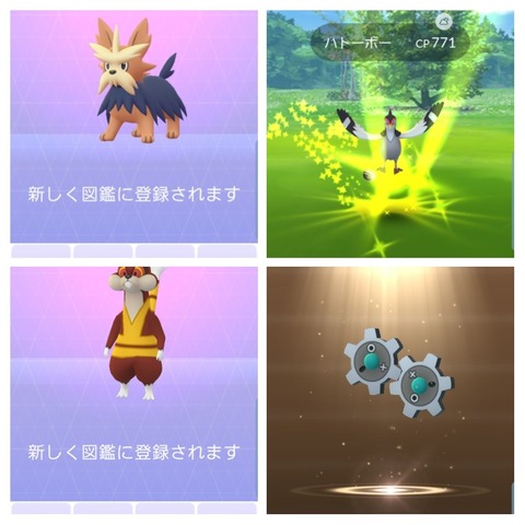 20190921_080723-COLLAGE