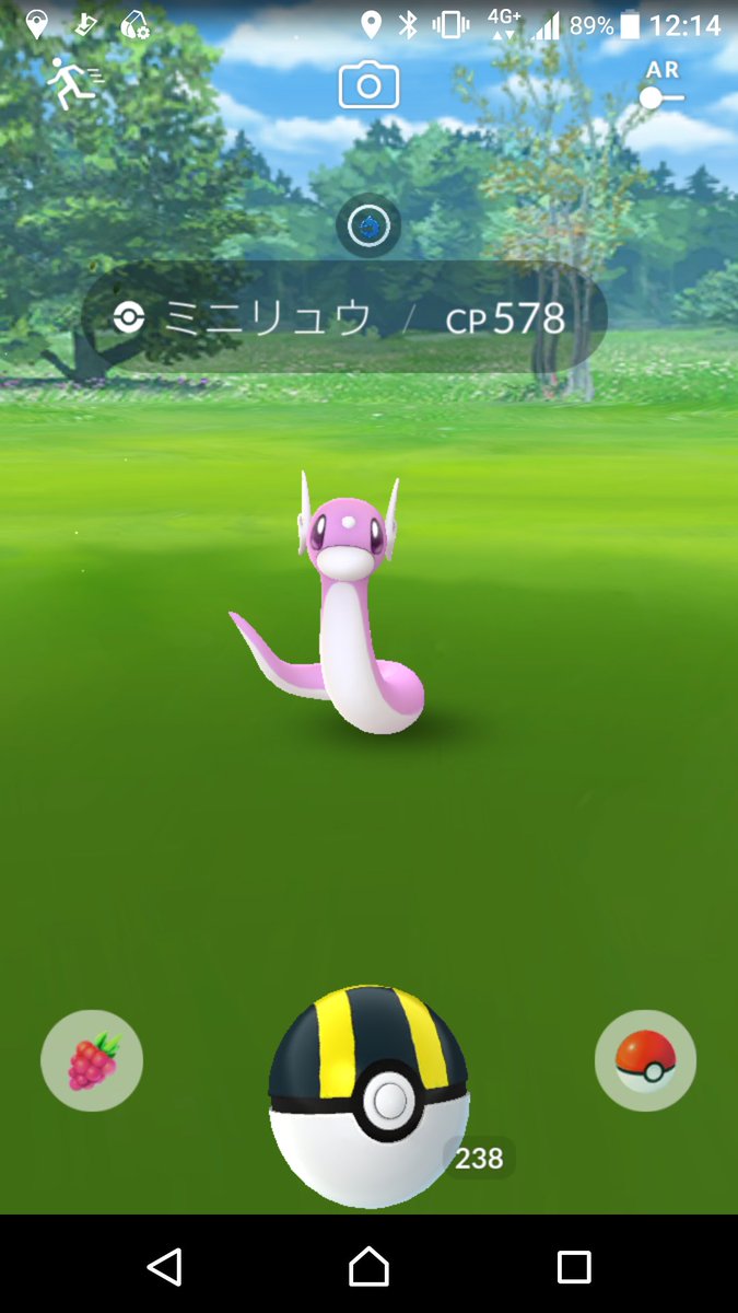 ポケgo進行状況報告 ミニリュウコミュニティデイ編 ポケモンろーど2nd ポケgo進行状況報告 ミニリュウコミュニティデイ編 ポケモンろーど2nd