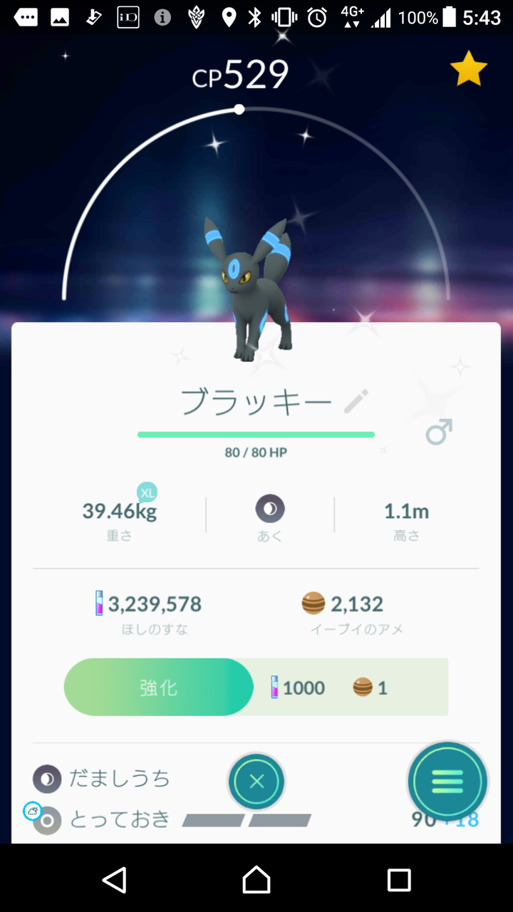 Jokionasibxsehx ポケとる 578 2627 ポケとる 578 Jokionasibxsehx ポケとる 578 2627 ポケとる 578