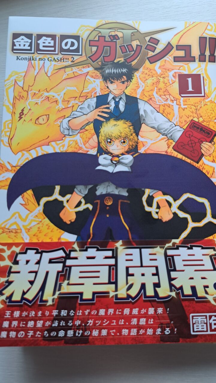 感想など ガッシュ2単行本1感巻と原画展について ポケモンろーど2nd