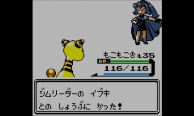 ざっくりとしたポケモン金プレイ日記その3 ポケモンろーど2nd