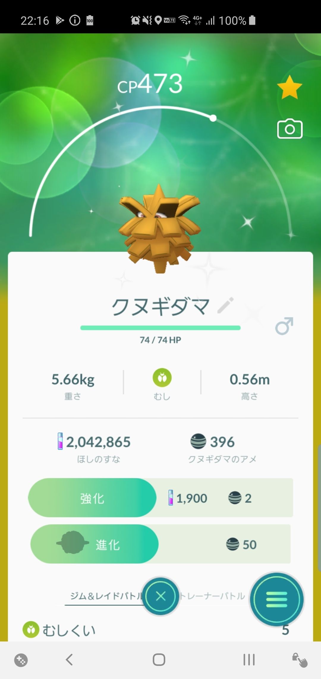 ポケgo報告 ナエトルコミュニティデイ編 ポケモンろーど2nd ポケgo報告 ナエトルコミュニティデイ編 ポケモンろーど2nd