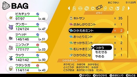 ニンフィア ポケモン ソード