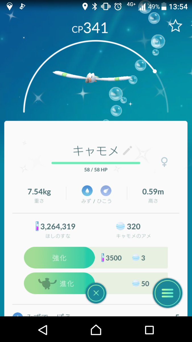 ペリッパー 色違い