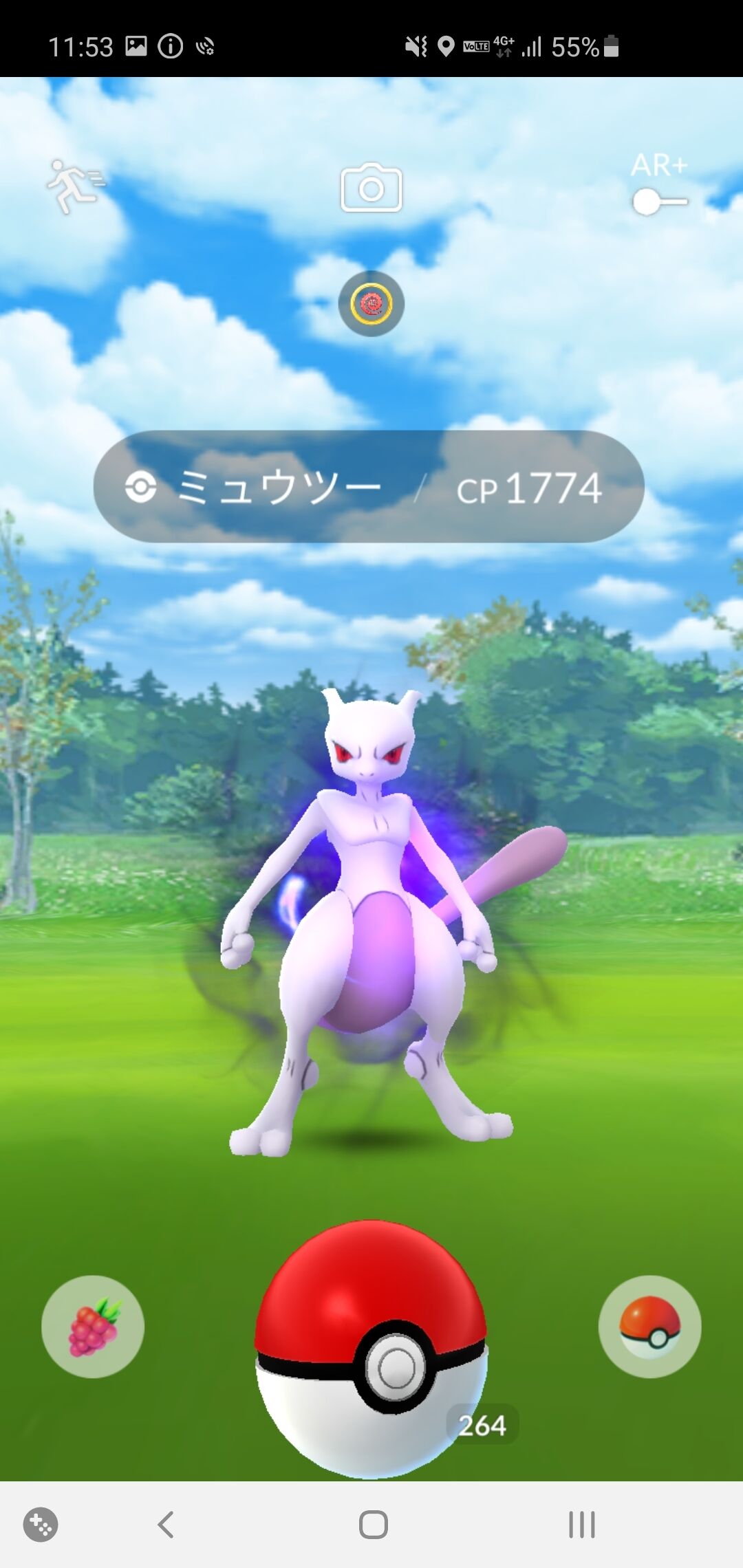 ポケモンgo Fest に参加したよ ポケモンろーど2nd