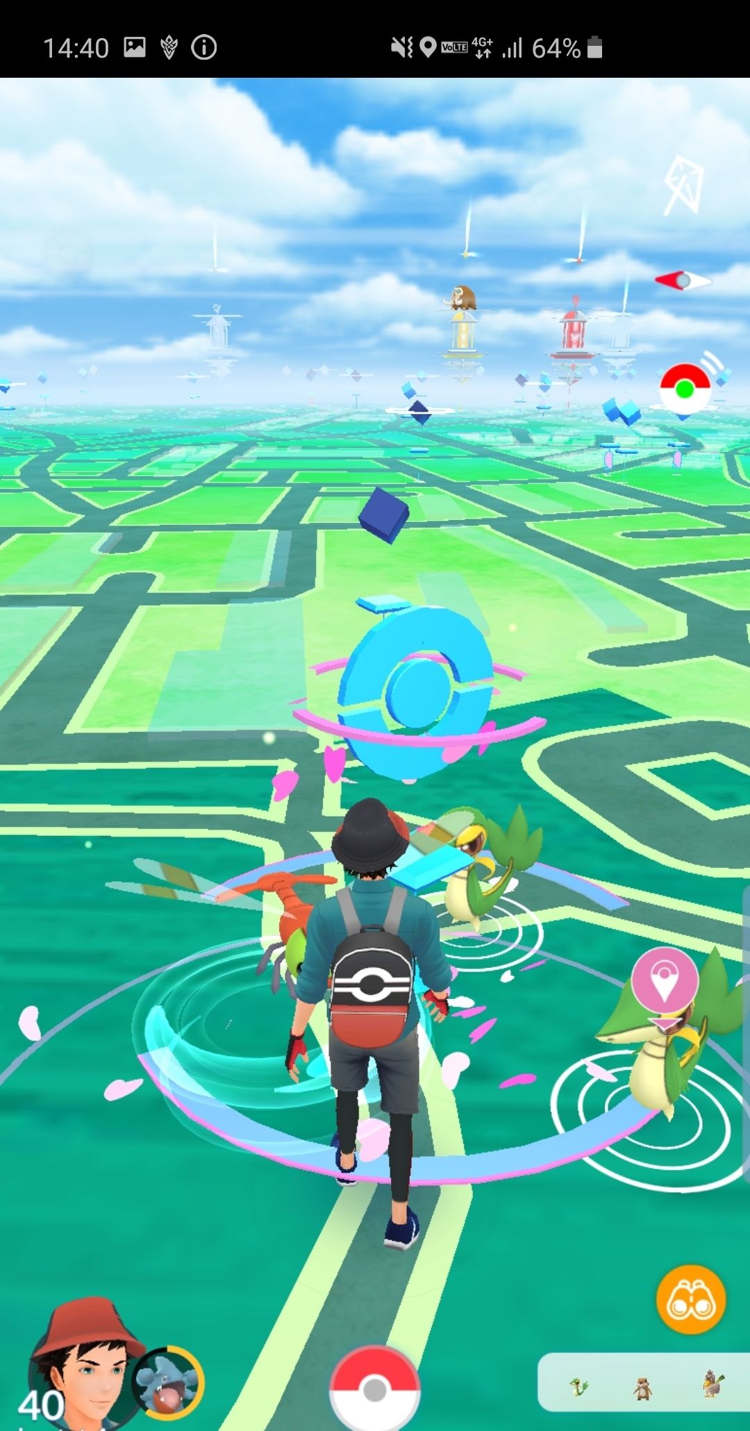 ポケgo報告 ツタージャの森へ 編 ポケモンろーど2nd