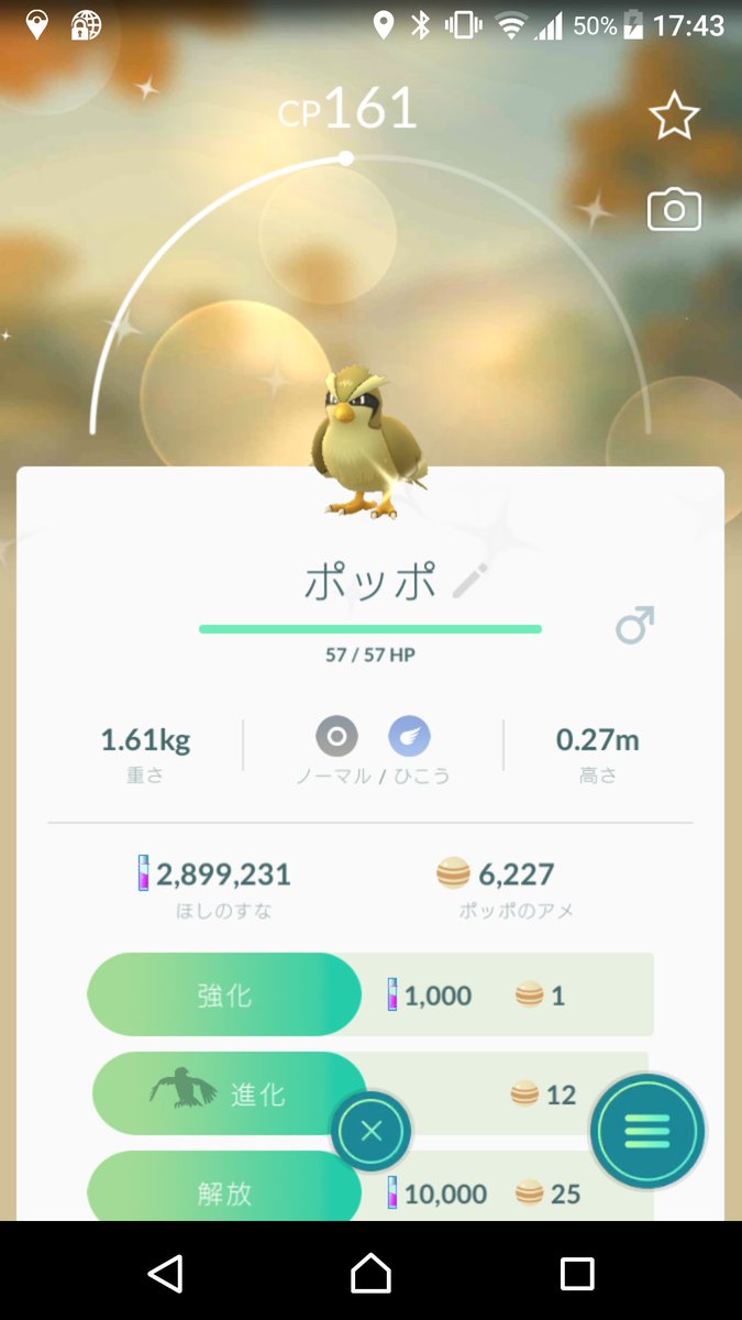 ポケgo報告 ディアルガレイドとその他色々編 ポケモンろーど2nd ポケgo報告 ディアルガレイドとその他色々編 ポケモンろーど2nd