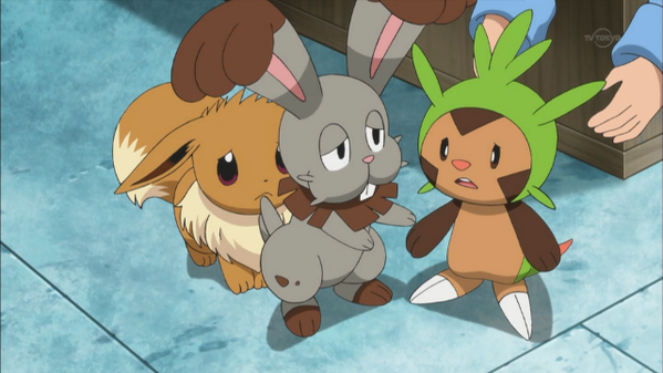 アニポケ感想記xy 簡易版 イーブイ編 ポケモンろーど2nd アニポケ感想記xy 簡易版 イーブイ編 ポケモンろーど2nd