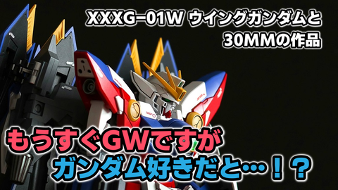 XXXG-01W ウイングガンダム（wing gundam）と30MMの作品