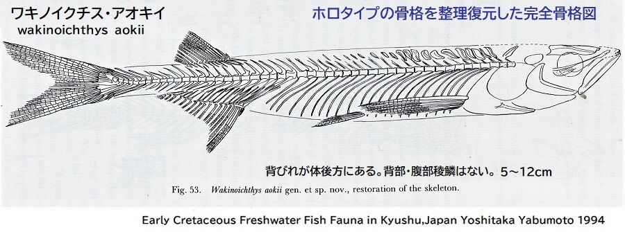 小倉白亜紀魚類化石ワキノイクチス（1） : ぷらもった～たてゆ
