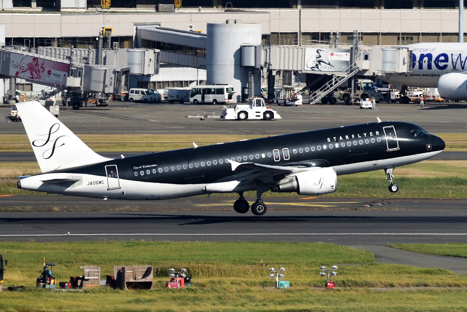 504 羽田空港 国際ターミナル その3 北九州市 スカイツリー 空手塗装他 旅客機と周辺生物の写真 504 羽田空港 国際ターミナル その3 北九州市 スカイツリー 空手塗装他 旅客機と周辺生物の写真