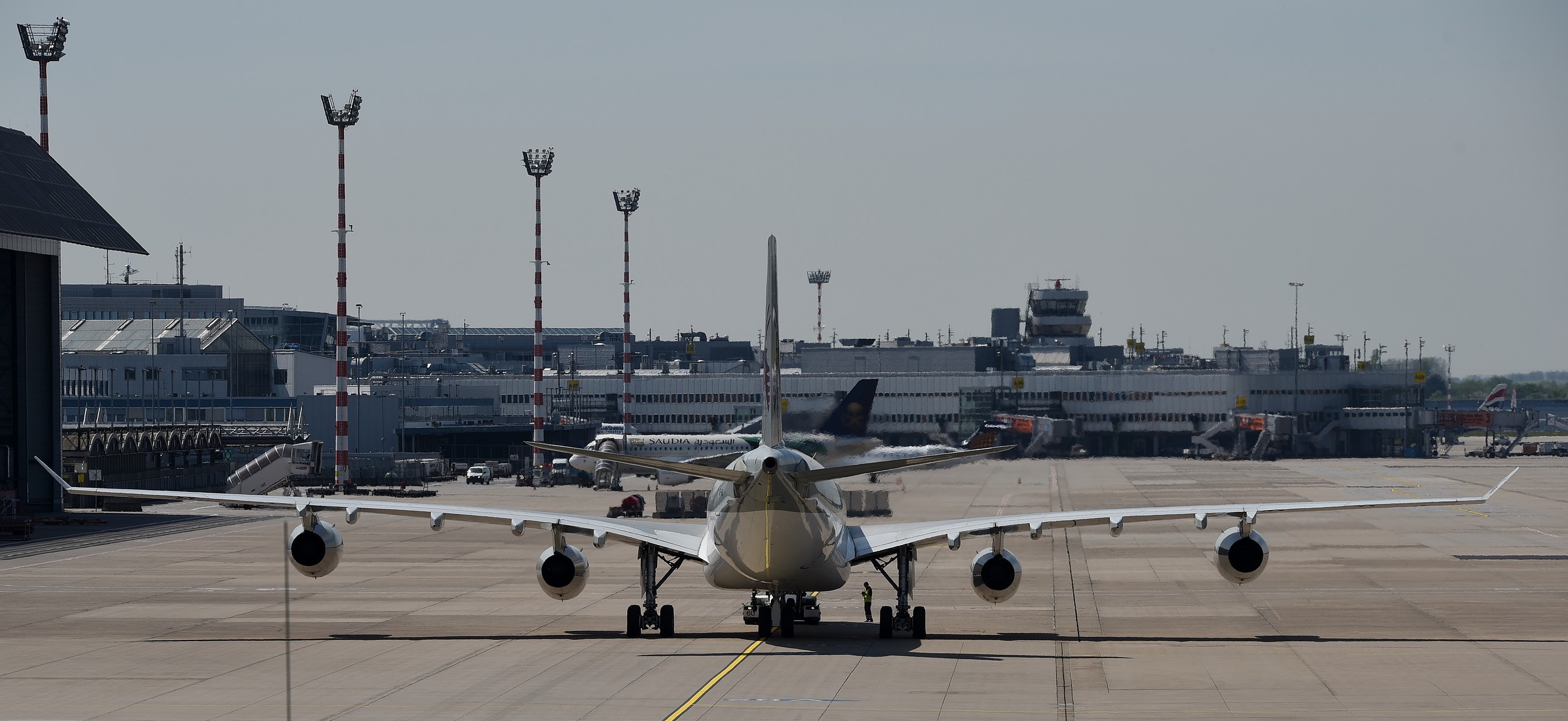 No 143 カタール政府航空 A340 0 その2 旅客機と周辺生物の写真 No 143 カタール政府航空 A340 0 その2 旅客機と周辺生物の写真
