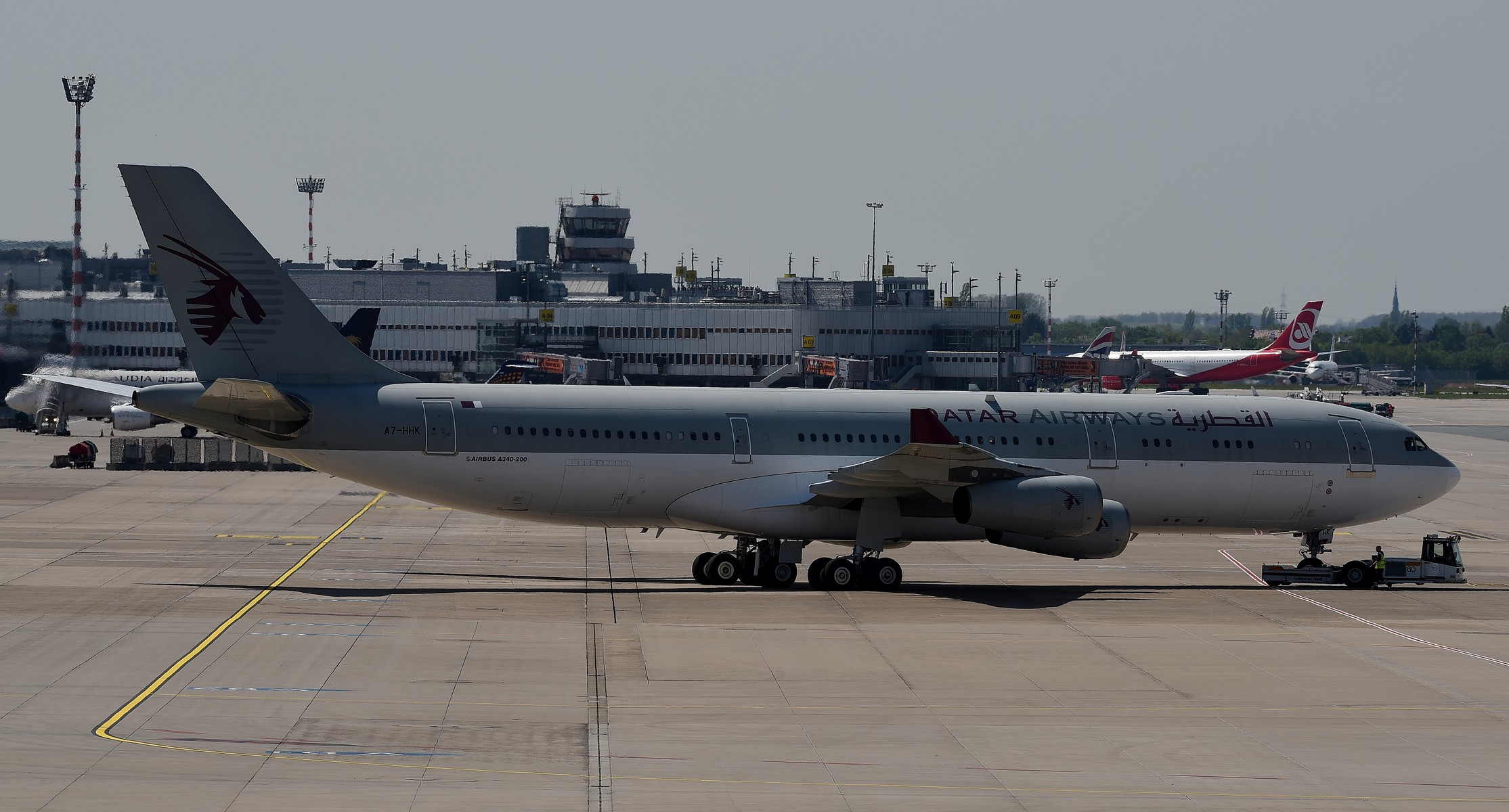 No 143 カタール政府航空 A340 0 その2 旅客機と周辺生物の写真 No 143 カタール政府航空 A340 0 その2 旅客機と周辺生物の写真