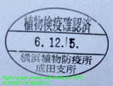 enter5dec-2024
