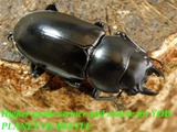 rwk3922july31