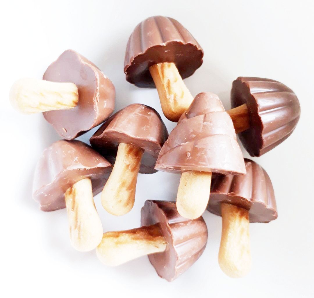 明治 大粒願掛け幸せきのこの山 パン食べたよ