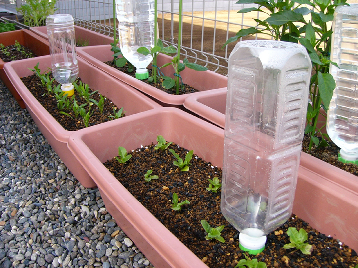 ペットボトル灌水システム 緑化1号 発明編 プランターマニアックス