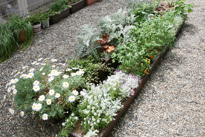 春の花壇 プランターマニアックス 春の花壇 プランターマニアックス