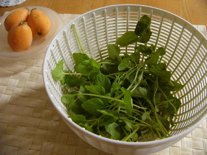 大葉 間引き菜で蕎麦を プランターマニアックス
