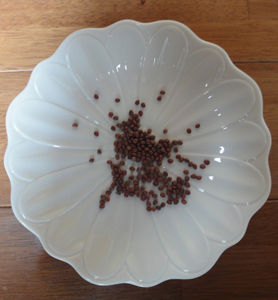 大根の種のまき方 プランターで野菜を育てよう 大根の種のまき方 プランターで野菜を育てよう