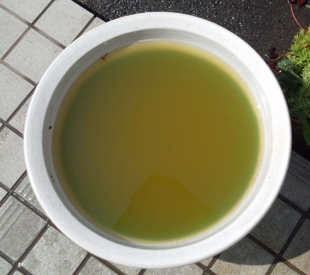イメージ 1