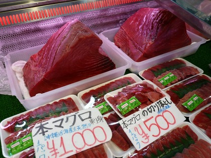 本マグロ