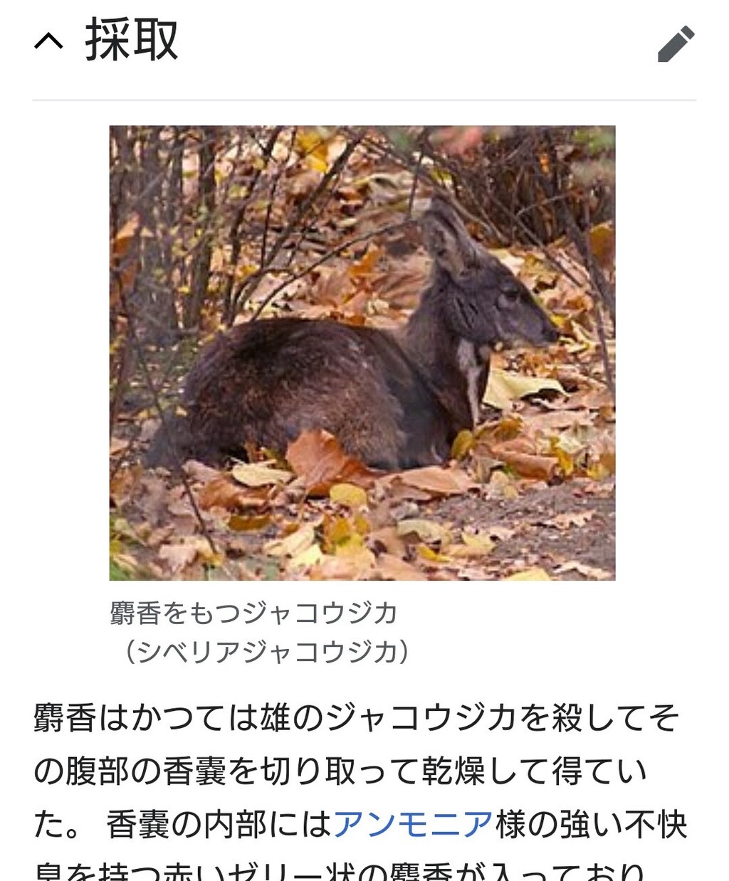 100均 クルマ ドライブに備える 天ぷら蕎麦が美味しい隠れたブログ2 100均 クルマ ドライブに備える 天ぷら蕎麦が美味しい隠れたブログ2