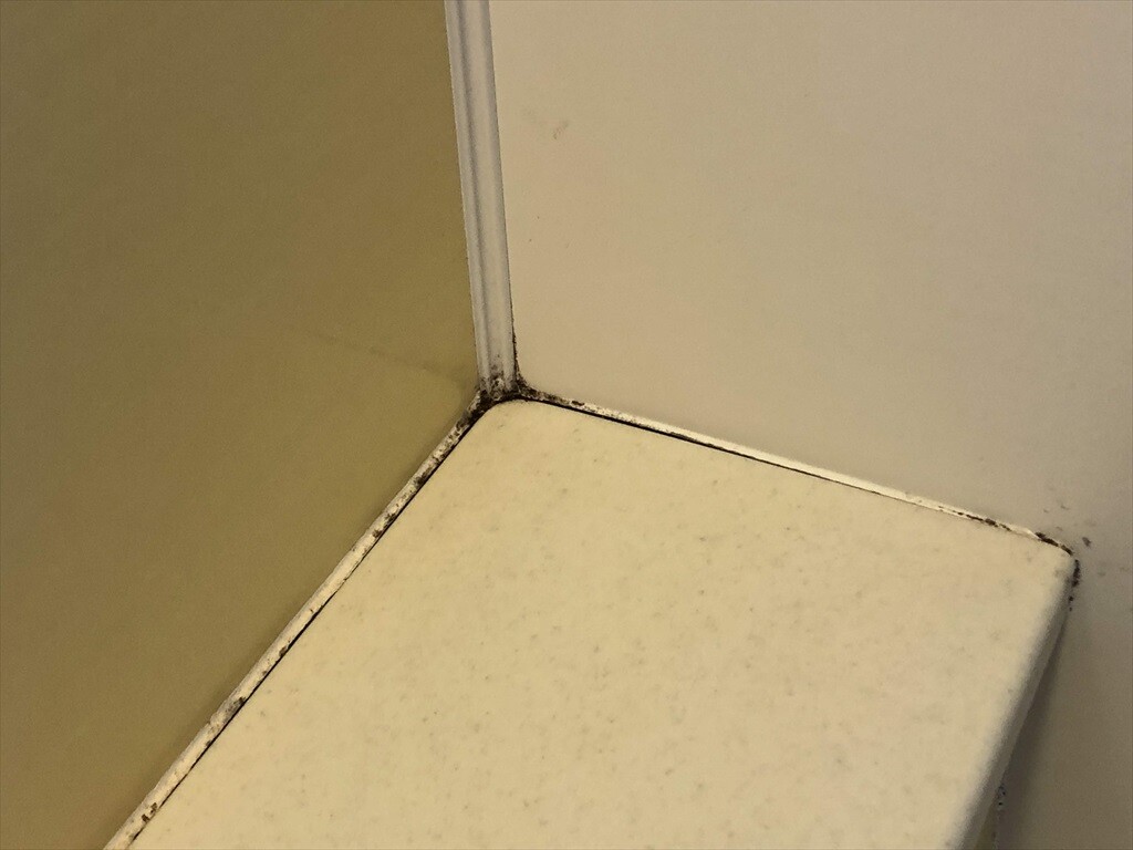 風呂の目地の補修をした 天ぷら蕎麦が美味しい隠れたブログ2