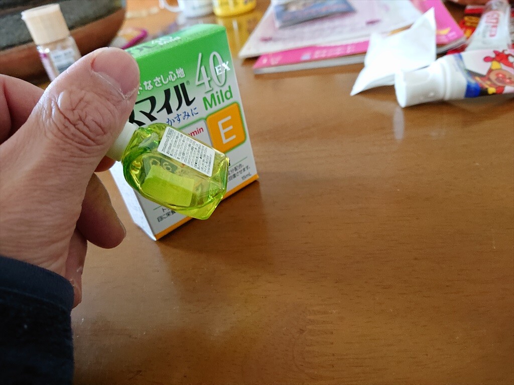 ケースが付属しなくなったので 天ぷら蕎麦が美味しい隠れたブログ2