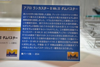 ST-HASEGAWA 204