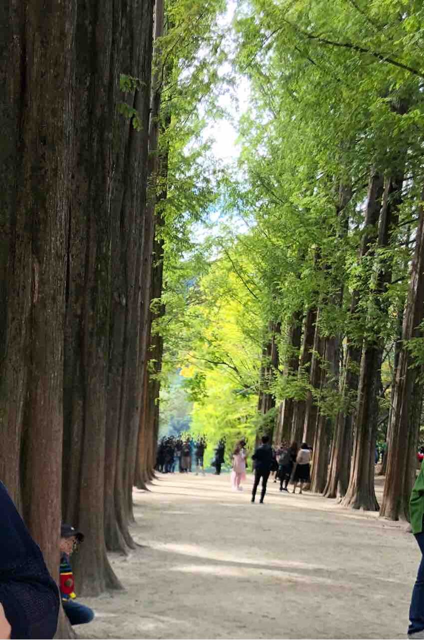 冬のソナタ なんちゃってロケ地 楽器大好き