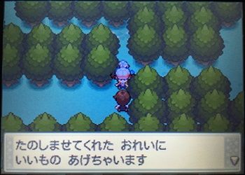 エルの冒険記 うごく木の先にはエンジュシティ 夫婦で遊ぶ 気ままなポケモン冒険記