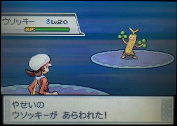 エルの冒険記 うごく木の先にはエンジュシティ 夫婦で遊ぶ 気ままなポケモン冒険記