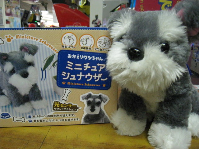 おかえりワンちゃん ミニチュアシュナウザー 登場 プレイランドパルスのブログ おかえりワンちゃん ミニチュアシュナウザー 登場 プレイランドパルスのブログ
