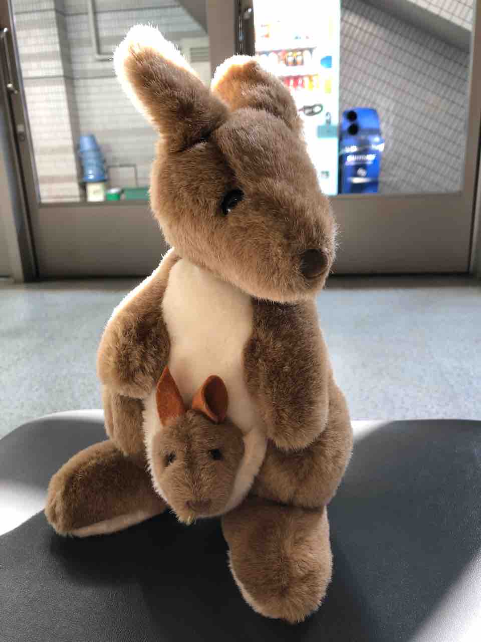 カンガルーの赤ちゃん 飛び出すぞ 遊 ゆう リトミック ピアノ教室 福山市