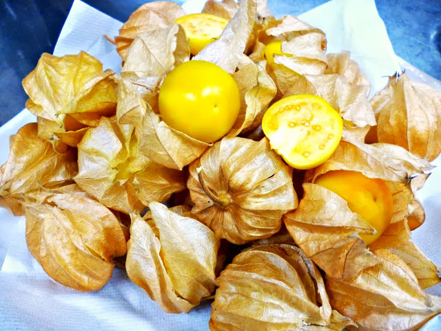 食べられる ほおずき 野菜料理店店長の野菜日記