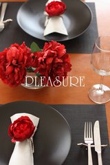 pleasure:使用例