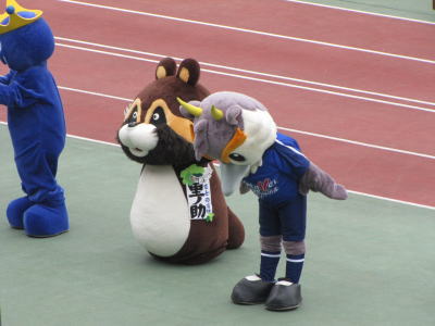 そのぼてっとした身体の動きがたまらんw
