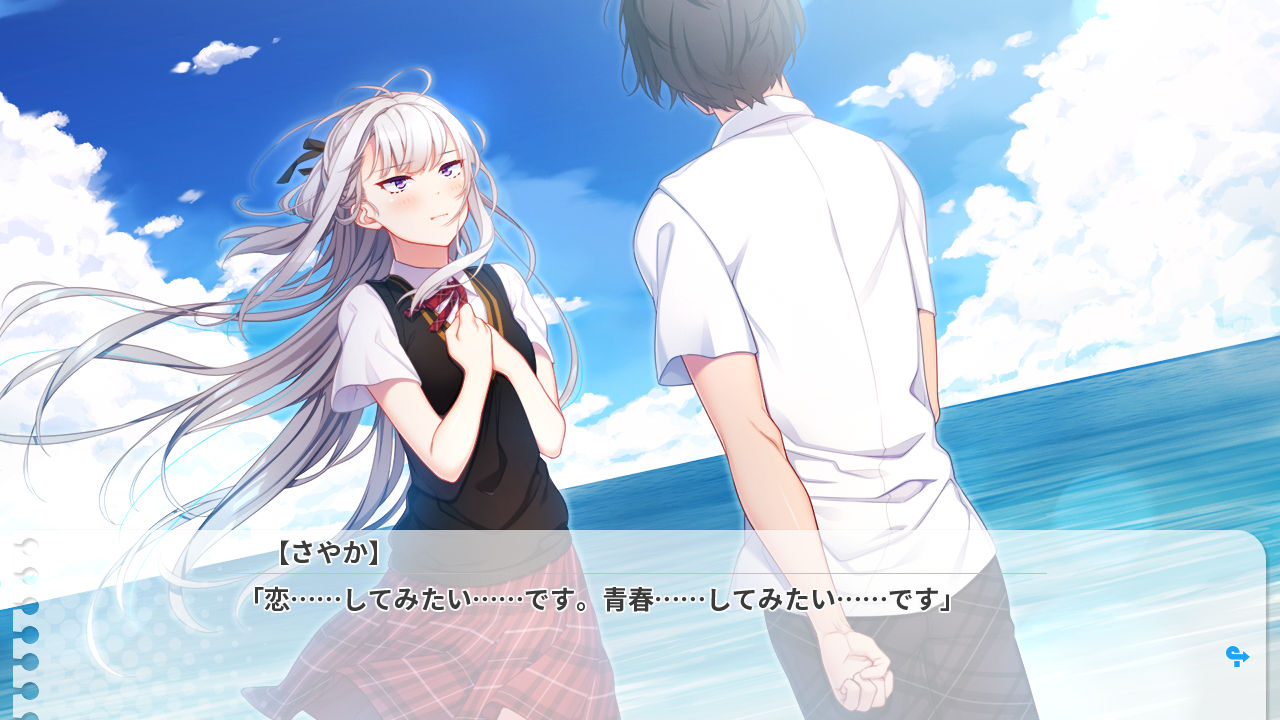 捻くれモノの学園青春物語 俺と彼女の裏表 感想 プレアデスの輝き