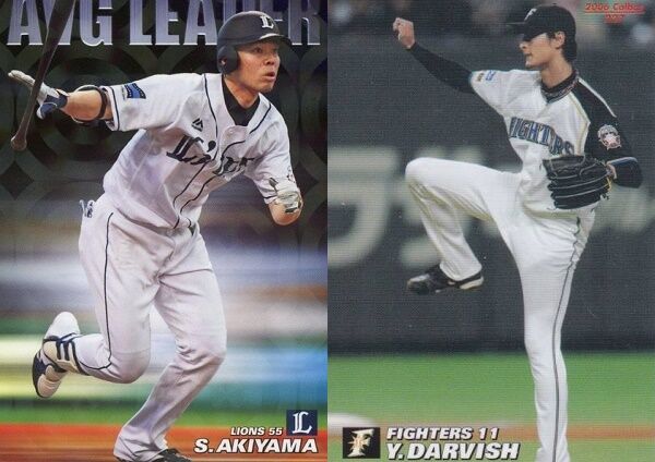 L_055_akiyama_108_F_011_1