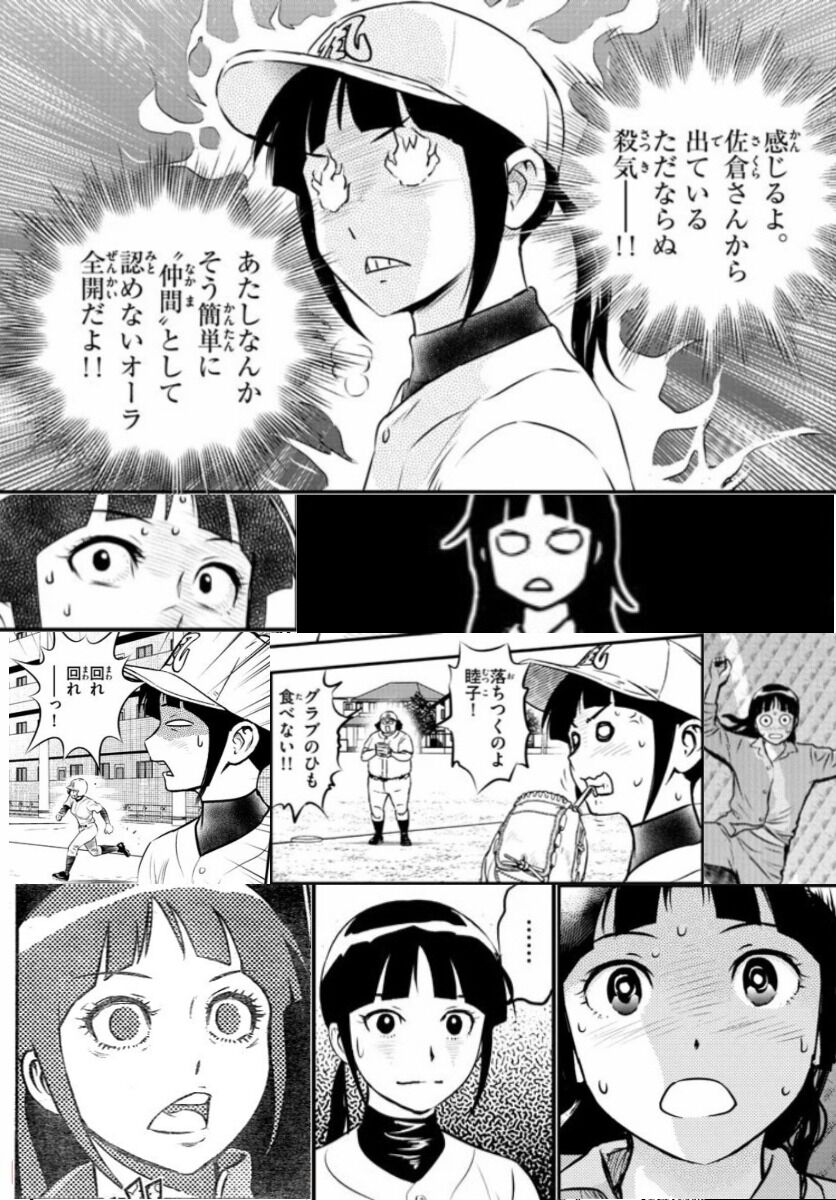 野球猫びいき 佐倉睦子 野球猫びいき 佐倉睦子